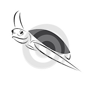 Vector of turtle Black design on a white background. Reptile. Animals. Sea creatures. illustration