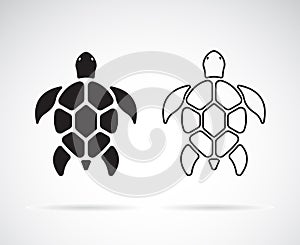 Vector of turtle design on a white background. Reptile. Animals.