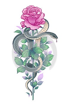 Vector Twisted Snake and Pink Rose on High Stem