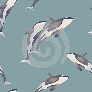 Vector of two killer whales, blue background