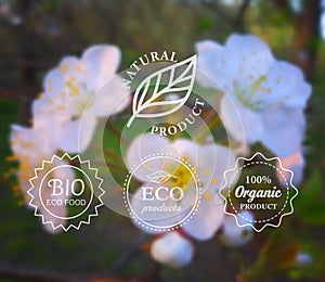 Vector typography eco labels set on spring flower blurry background for card, banner or web design.