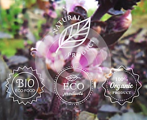 Vector typography eco labels set on spring flower blurry background for card, banner or web design.
