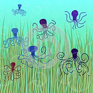 Vector underwater background with octopuses and bubbles