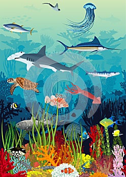 Vector underwater coral reef with animals, seamless pattern with animals