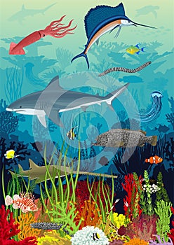 Vector underwater coral reef with animals, seamless pattern with sharks