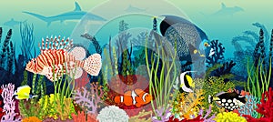 Vector underwater coral reef horizontal seamless pattern. Undersea bottom texture with colorful tropical fishes and sharks