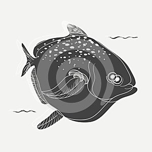 Vector of underwater creature fish