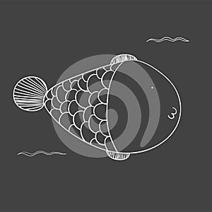 Vector of underwater sea creatures photo