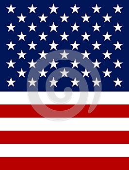 Vector US Flag icon