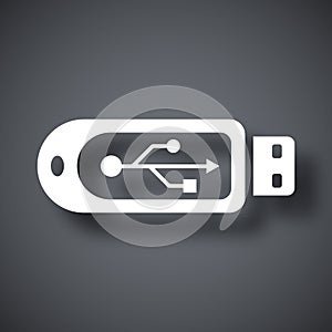 Vector usb flash drive icon