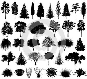 Vektor rôzny stromy a krovia silueta. obdĺžnik ohraničujúci potlačiteľnú oblasť 10 