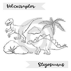 Vector Velociraptor and Stegosaurus isolated on a white background