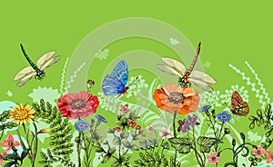 Vector vertical border with dragonflies, butterflies, flowers, grass and plants. Summer style. Seamless nature border