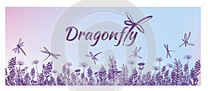 Vector vertical border with dragonflies, flowers, grass and plan