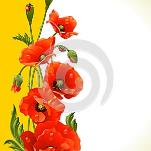 Vector vertical frame with poppies and ladybugs