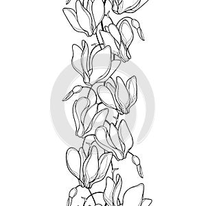 Vector vertical seamless pattern with outline Cyclamen or Alpine violet bunch in black on the white background.