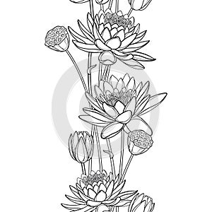 Vector vertical seamless pattern with outline Lotus or water lily flower, bud and seed pod in black on the white background.