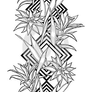 Vector vertical seamless pattern with outline tropical Guzmania and leaf in black on the white background. Floral border.