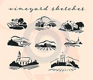 Vector village hand drawn landscape collection with fields, houses and vineyrad on white background. photo
