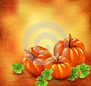 Vector Vintage background with three pumpkins