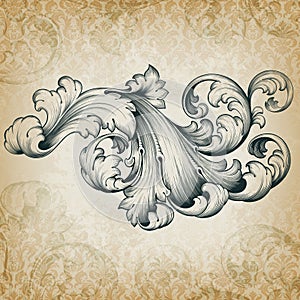 Vector vintage baroque floral scroll pattern photo