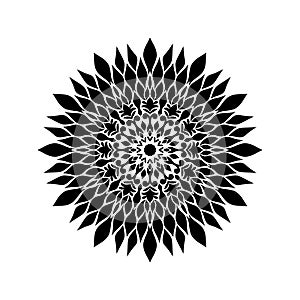 Vector vintage Beautiful mandala black and white flowers and leaves isolated.