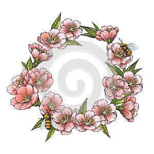 Vector vintage card with almond blossom wreath isolated on white. Hand drawn illustration with spring apple, cherry or peach tree