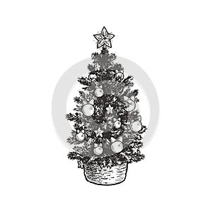 Vector vintage drawing with Christmas tree in basket isolated on white. Hand drawn holiday illustration with fir decorated with