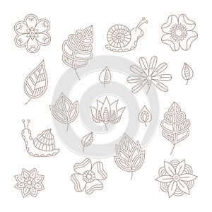 Vector vintage floral design elements set in mono line style