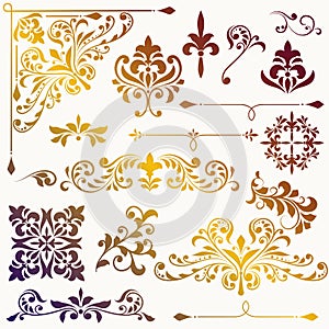 Vector vintage floral design elements