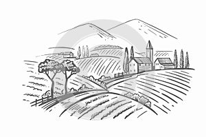 Vector vintage hand drawn illustration of wineyard