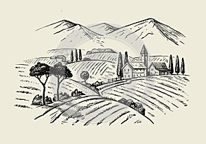 Vector vintage hand drawn illustration of wineyard