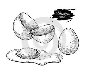 Vector vintage hand drawn scrambled chicken egg.