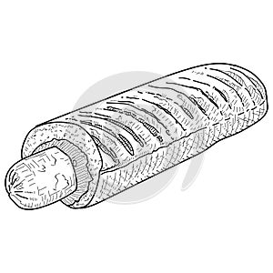 Vector vintage hot dog drawing. Hand drawn monochrome fast food illustration.