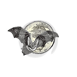 Vector vintage illustration of bat flying against the moon. Hand drawn Halloween symbol in engraving style