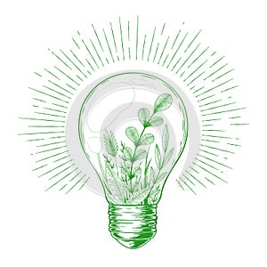 Vector vintage illustration with hand drawn green light bulb, plants, herbs, branches and floral elements inside isolated on white