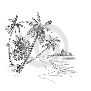 Vector vintage illustration of palm beach in engraving style. Hand drawn ink sketch of tropical landscape with trees and sea.