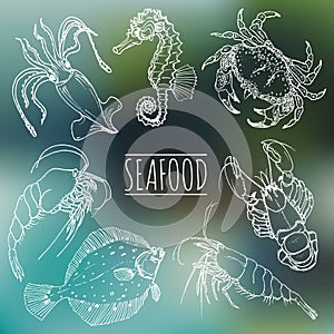 Vector vintage seafood sketches collection. Hand drawn fish illustrations for restaurant, cafe menu, market ad.