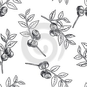 Vector vintage seamless floral pattern with blueberry isolated on white. Hand drawn botanical texture with forest berries in