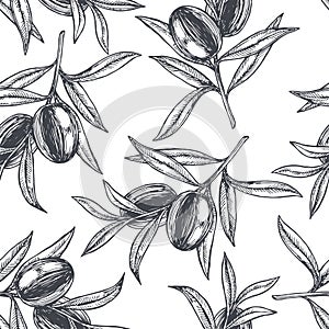 Vector vintage seamless pattern with olive branch in engraving style. Hand drawn texture with plant. Black and white botanical