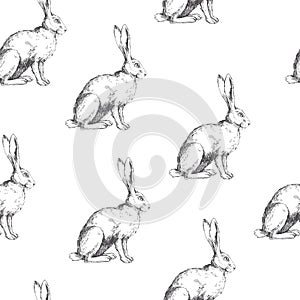 Vector vintage seamless pattern with sitting hare isolated on white. Hand drawn texture with rabbit in sketch style. Background w