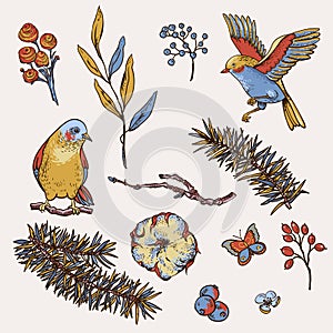 Vector vintage set of floral natural elements, birds, fir branches, cotton, flowers and butterflies