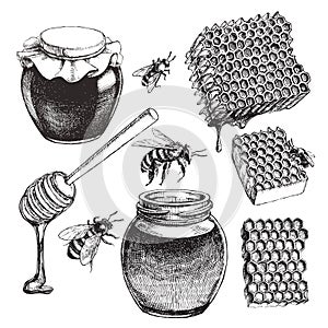 Vector vintage set of honey elements in engraving style. Hand drawn illustrations with jar, honeycomb, bees and wooden spoon.