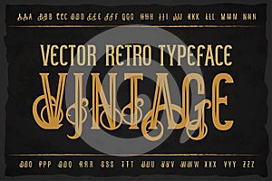 Vector vintage typeface. Vector font