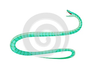 Vector viper snake