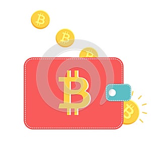 Vector wallet with golden coins on white background.
