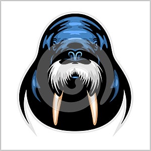 Vector Walrus logo template for sport teams, business etc. photo