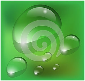 Vector water drops on green background