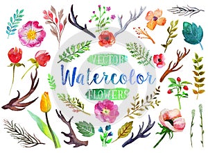 Vector watercolor aquarelle flowers and leaves.