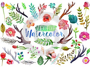 Vector watercolor aquarelle flowers and leaves.